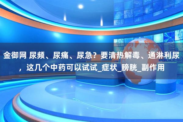 金御网 尿频、尿痛、尿急？要清热解毒、通淋利尿，这几个中药可以试试_症状_膀胱_副作用