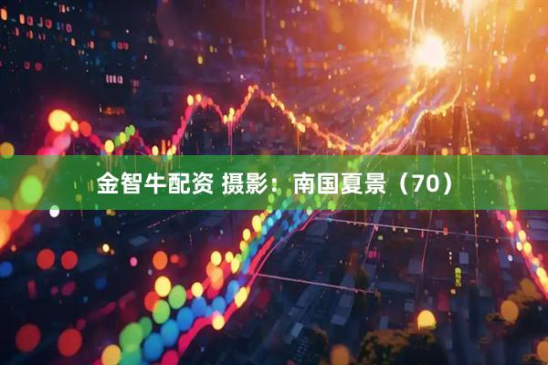 金智牛配资 摄影：南国夏景（70）
