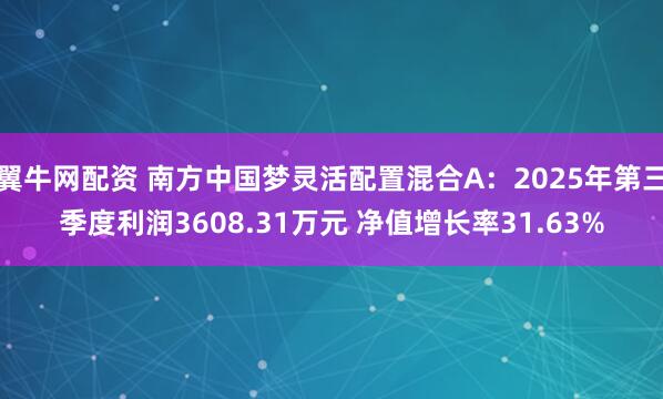 翼牛网配资 南方中国梦灵活配置混合A：2025年第三季度利润3608.31万元 净值增长率31.63%