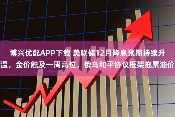 博兴优配APP下载 美联储12月降息预期持续升温，金价触及一周高位，俄乌和平协议框架拖累油价